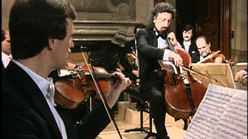Mischa Maisky - Haydn Cello Concerto No.1 in C Major - II. Adagio (HD)