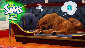 ULTRA-HOOD LEGACY // FOUR CORNERS | SIMS 2 | PART 57 🦴 (Streamed on 10/28/2020)