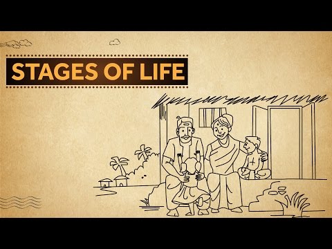 Stages of life