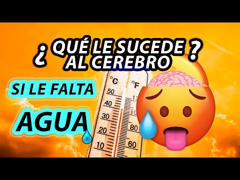 Video: ¿Puede la deshidratación causar lentitud?