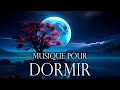 Un Esprit Calme Peut vous Aider à Aieux Dormir - Musique pour S&#39;endormir un Sommeil Réparateur