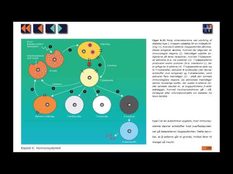 Video: Hvem får eubakterier energi?