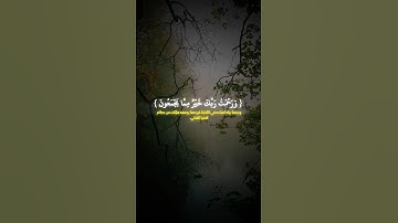 محمد صديق المنشاوي #تلاوة_خاشعة #سورة_الزخرف #القرآن_الكريم #محمد_صديق_المنشاوي #shots #اكسبلور