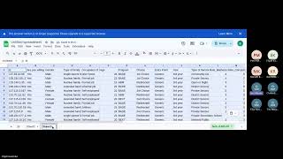 Celebrity Group 4 BADE Data Analysis with Google Sheet Wealth