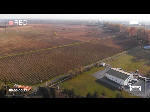 #შემოგვიერთდი ყვარლის სერვის ცენტრში