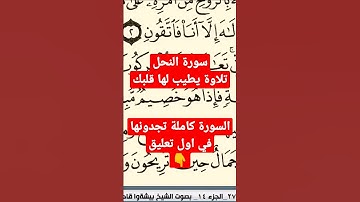 سورة النحل تلاوة عطرة تريح قلبك