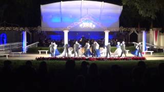 Strauss Festival Blue Danube 2015