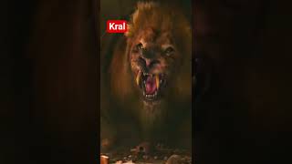 ormanlar kralı aslana selam #foryou #aslanmashadovv #fore #aslanmashadov #funnyvideo #