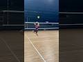 なんでもできるね #ウルフドッグス名古屋 #volleyball #バレーボール #水町泰杜 #ムッパ