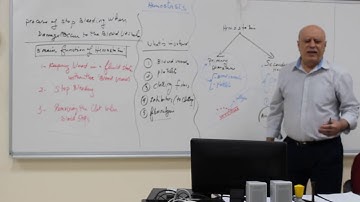 Hematology lab 2 - Hemostasis 1 (PT) lab theory & practical - Omar Chebbo