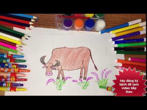 vẽ con trâu - dạy tô màu cho bé, Draw Buffalo