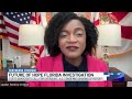 ‘Someone needs to go to jail’: House Democrats call for more investigation into Hope Florida scan...