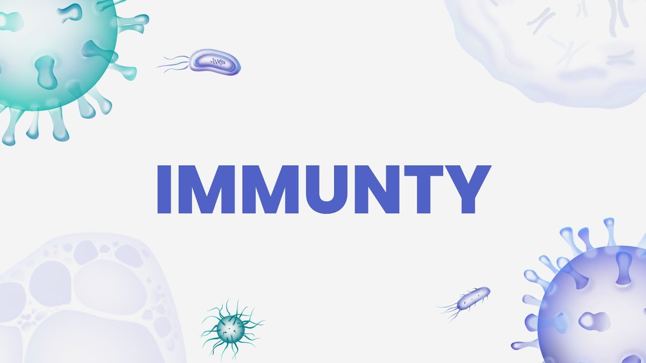 🛡️ جهاز المناعة Immunity | شرح كامل