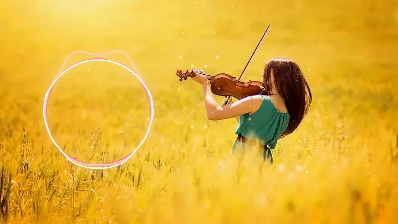 8 Min Carnatic Instrumental for Prayer | Soothing Carnatic Veena & Violin Instrumental | #music