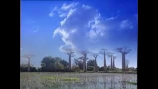 Viezsa Putri (Qasidah Terpopuler) - Anawinta