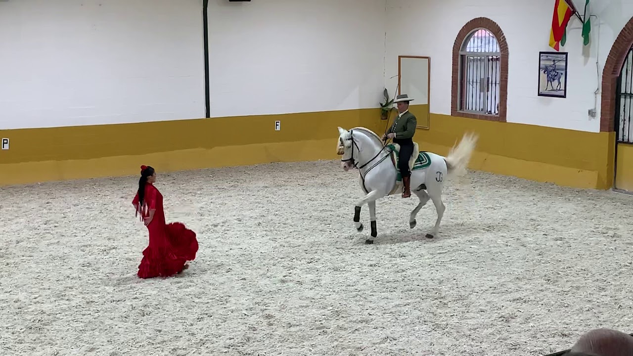 Spanish horse show YouTube