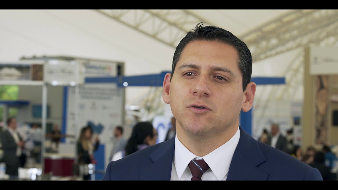 liderazgo tipos Iván Pelayo: 