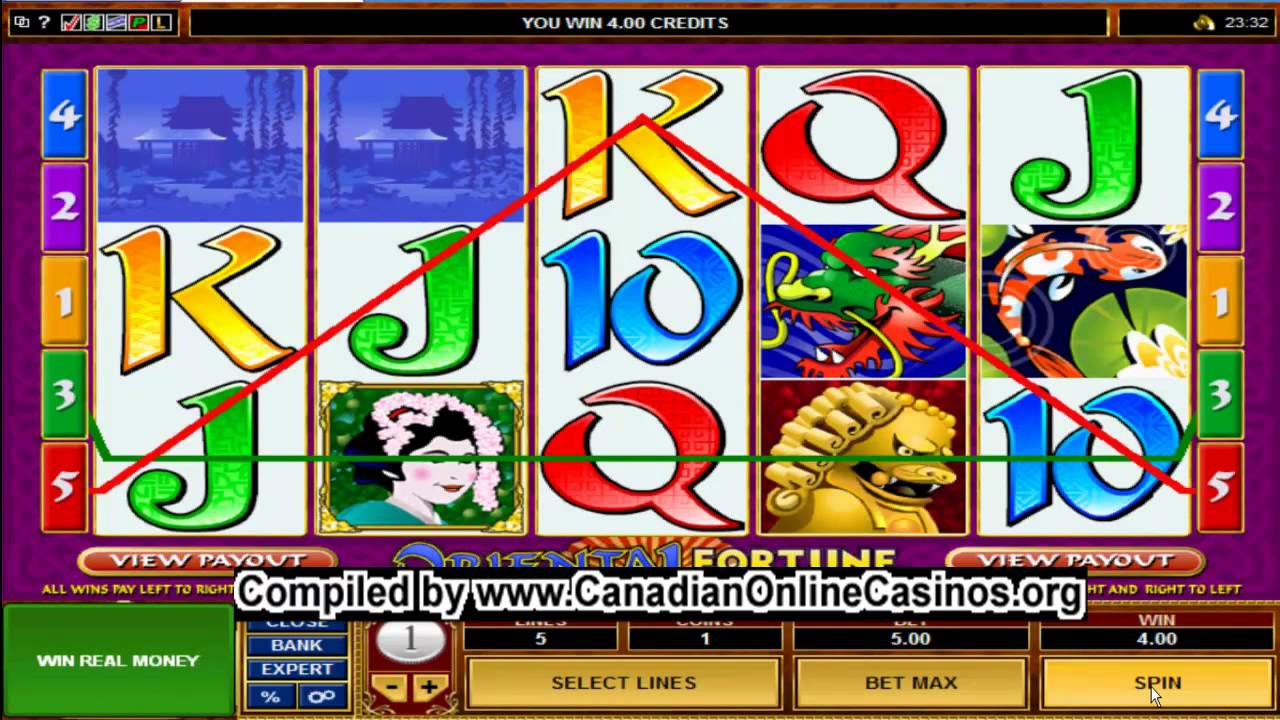 Slots gratis sem cadastro Bingo Slot – Pragmatic Play Slots gratis sem cadastro Bingo Slot – Pragmatic Play