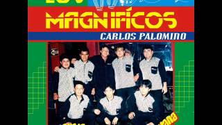 Video thumbnail of "LOS MAGNIFICOS DE LA CUMBIA DE CARLOS PALOMINO -COMPLACEME"