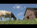 Mission Matters: Rescued animals given second chances at Lancaster Farm Sanctuary