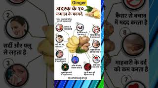 Top 9 Dietary Sources of Estrogen | Boost Hormone Health Naturally