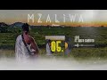 Driemo ft skeffa chimoto  lere official audio visualizer mzaliwa