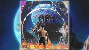 [Free] Travis Scott Loop Kit - "Moon Cactus" (12) | Don Toliver, Dez Wright, Mike Dean, Wondagurl