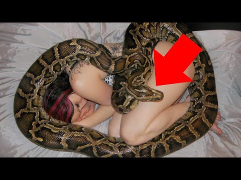 Video: Cos'è un serpente het?