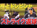 【極上ドンピシャ】荻野貴司『チーム救った“奇跡のストライク返球”』