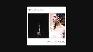 PJ Harvey and John Parish - The Soldier