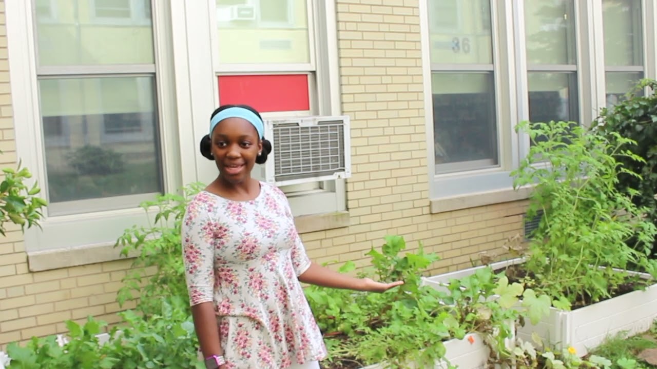 RWB Sustainable Jersey Certification Video