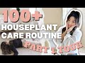 How i care for 100 houseplants  plant chores  houseplant care routine  tips  vlog