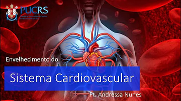 O que acontece com o sistema Circulatorio durante o processo de envelhecimento?