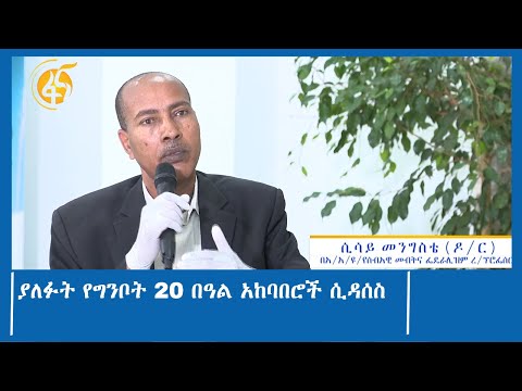 ያለፉት የግንቦት 20 በዓል አከባበሮች ሲዳሰስ