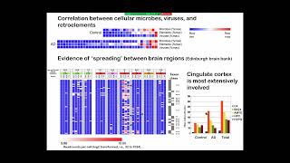 Infectious Etiology of Alzheimer's Disease Workshop - Day 2 screenshot 3