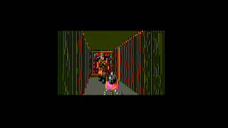 Wolf3D CGA4 on 9.55MHz 8088 and IBM late CGA (arbitrarily-chosen smaller game window size)