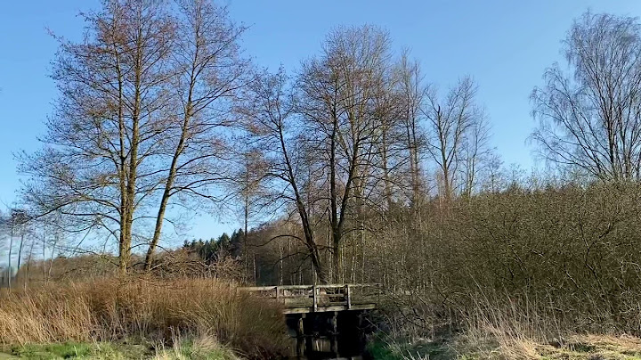 Wann beginnt der Frühling auf der Südhalbkugel