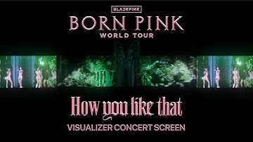 How You Like That - BLACKPINK [BORNPINK WORLD TOUR] Visualizer Concert Screen
