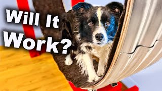I Built a Hamster Wheel for my Dog!