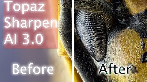 Topaz Sharpen AI 3.0 SAVED MY MACRO SHOTS! SATISFACTION GUARANTEED