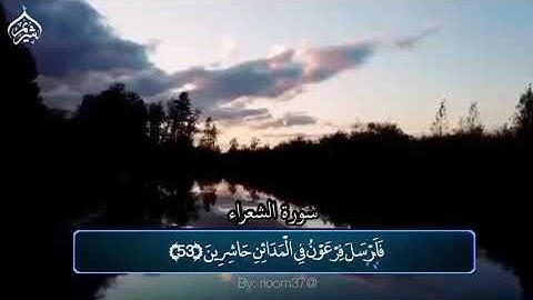 وأنجينا موسى ومن معه أجمعين... | سورة #الشعراء الشيخ #سعود_الشريم