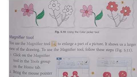 Class 3/ICSE/Computer Science/Session 10