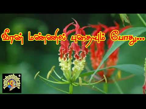 When the hero is buried in the soil  Eelam Song  Tamil Desi Song  Tamil sound