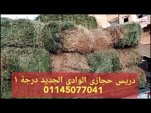 دريس حجازى الوادى الجديد نمرة ١ بضاعة سوووووبر جملة وقطاعى طنطا 01145077041