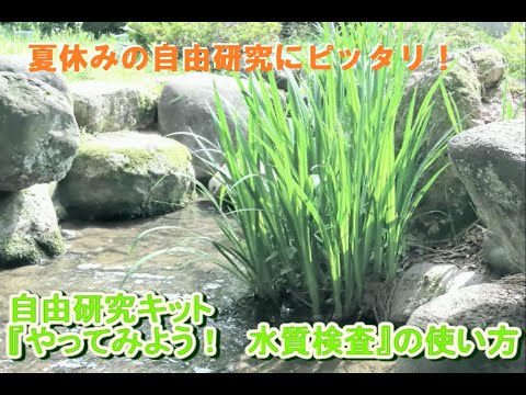 自由研究『やってみよう！水質検査』の使い方【夏休みにおススメ】