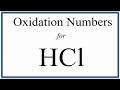 Halogens and Oxidation Numbers