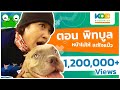 กบนอกกะลา : พิทบูล หมาแบ๊วสายพันธุ์ดุ | FULL (25 ม.ค.61)