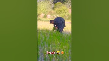 my first vlog♥️ | my first vlog 2024 | my first vlog on youtube