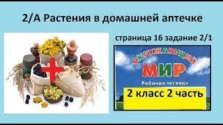 Что используют/Растения в домашней аптечке №2/1 (Окр.мир 2 класс Перспектива) Что используют/Растения в домашней аптечке №2/1 (Окр.мир 2 класс Перспектива)