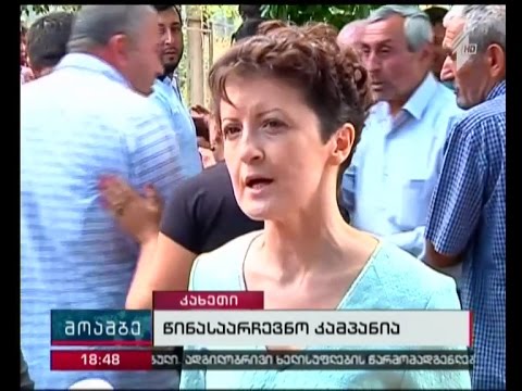 თეა წულუკიანი და გელა სამხარაული სოფელ ყარაჯალას მოსახლეობას შეხვდნენ